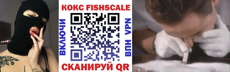 купить наркотики цена  mega ONION  COCAIN Fish Scale  Усть-Катав 