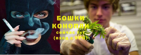 гидра Кукмор