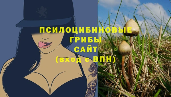 синтетический гашиш Кулебаки