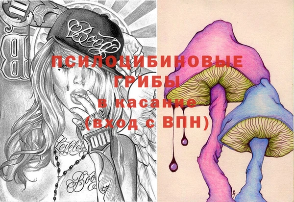 крисы Красноперекопск