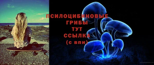 стафф Кодинск