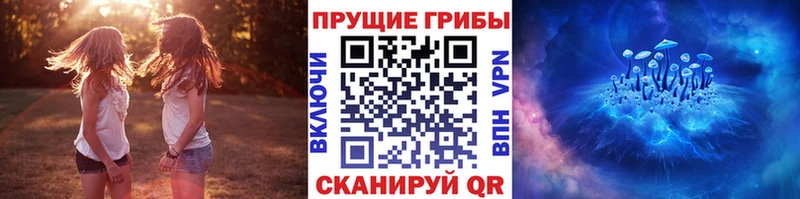 Галлюциногенные грибы прущие грибы  где продают наркотики  кракен tor  Усть-Катав 